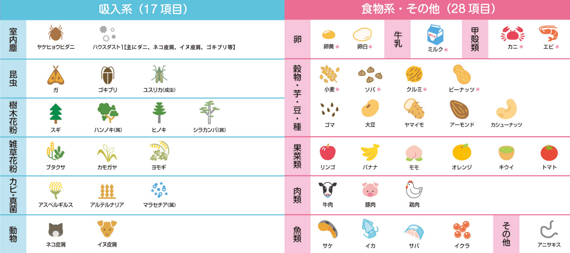 SiLIS（サイリス）